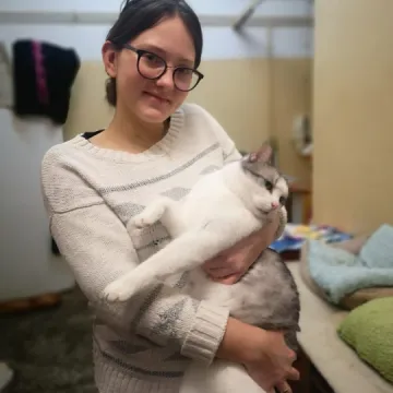 Dary dla kociaków od stowarzyszenia „Perspektywy”