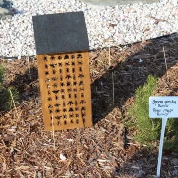 Ekopracownia pod chmurką w PSP nr 9 w Radomsku już działa