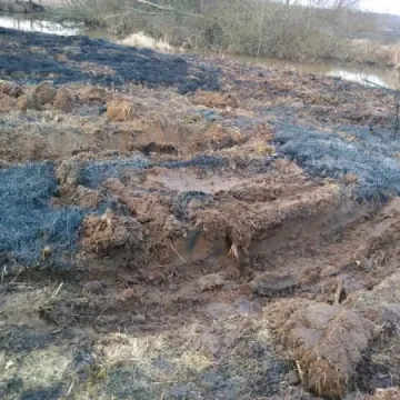 Duży pożar suchych traw w Pławnie