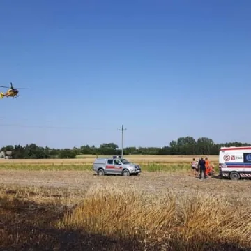 Ciężarówka spłonęła na polu