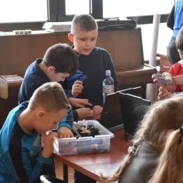 Legorobotyka w MDK