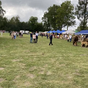 Święto Plonów w Krępie. Dożynki Gminno-Parafialne 2025