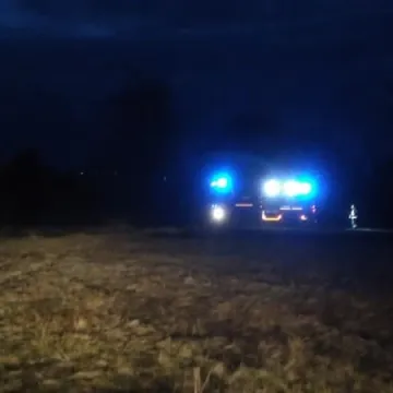 Pożary poszycia leśnego