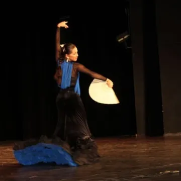 Koncert zespołów folklorystycznych w MDK