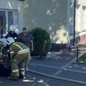 Ewakuacja ZSP 1 w Radomsku. Był pożar, strzały i osoby ranne