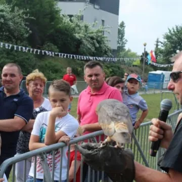Dni Radomska 2018: Pokazy sokolnika