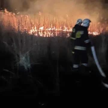 Aż 9 pożarów traw w miniony weekend