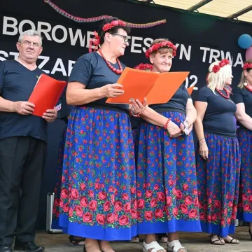 Wakacyjny festyn w Borowej