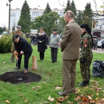 Dąb Pamięci dla „Warszyca”
