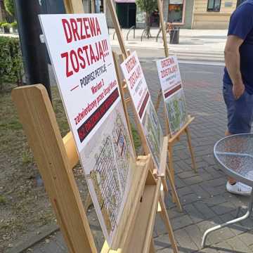 Drzewa zostają. Zbieranie podpisów pod petycją w sprawie powstrzymania wycinki na placu 3 Maja w Radomsku