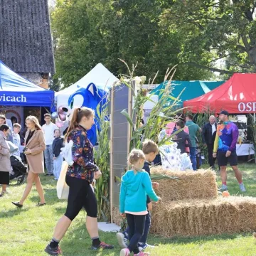 Lokalne tradycje w centrum uwagi podczas święta ziemniaka w Dmeninie