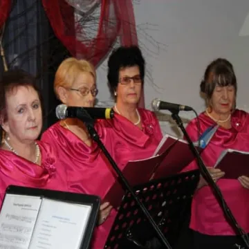 Wieczornica Węgierska w MDK