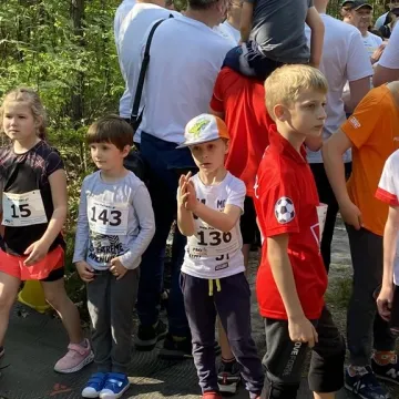 W Gomunicach poszli i pobiegli dla pszczół