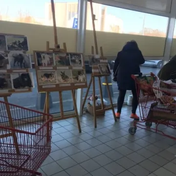 Finał akcji „Podaruj seniorowi domek”