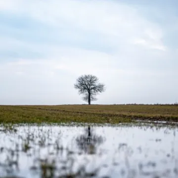 Uczniowie Elektryka „rozbili bank”… z nagrodami
