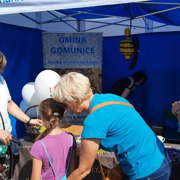Święto Miodu w Gomunicach