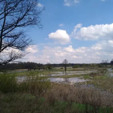 Podtopienia na Topiszu, Bobrach i Szczepocicach 