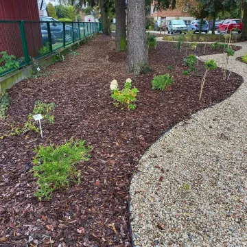 W PSP 8 w Radomsku utworzono „Leśne Obserwatorium”