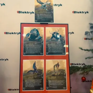 Wiedźmiński dzień w Elektryku