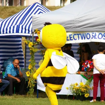 Gomunice: impreza z miodem w roli głównej