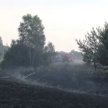 Pożar łąk na Dąbrówce 