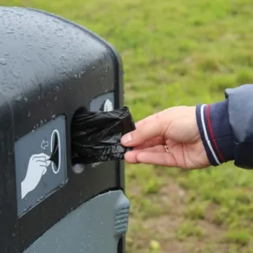 Psie toalety pojawiły się na ulicach miasta