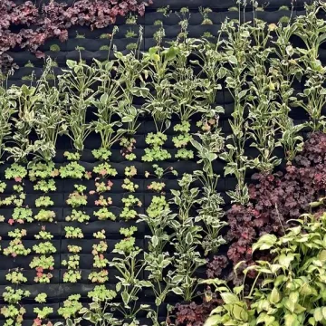 Ogrody wertykalne w Radomsku oficjalnie oddane do użytku