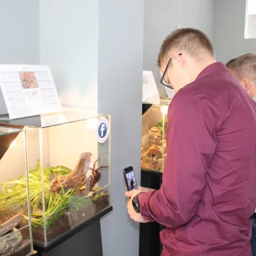 Pająki i skorpiony w MDK w Radomsku