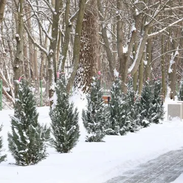 Teren przy DPS zyskał nowe oblicze