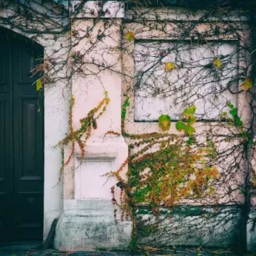 Weekendowe warsztaty plenerowe