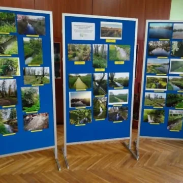 Międzyszkolny Konkurs Fotograficzny w PSP nr 4