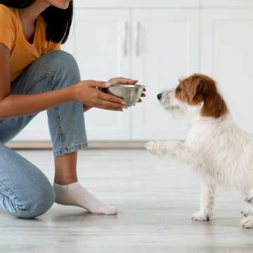 Karma dla psa alergika. Czym są karmy hypoalergiczne?
