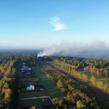 [WIDEO] Potężny pożar w Radomsku. Zakład stolarski w płomieniach