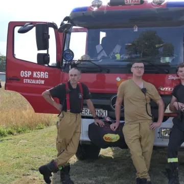 Liczne atrakcje na „Pikniku z Orzechówkiem”