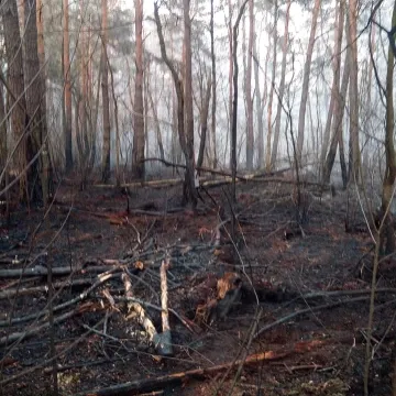 Potężny pożar w Łęgu