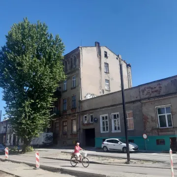 Sprawdzają odporność topoli oraz wierzby z ul. Żeromskiego w Radomsku