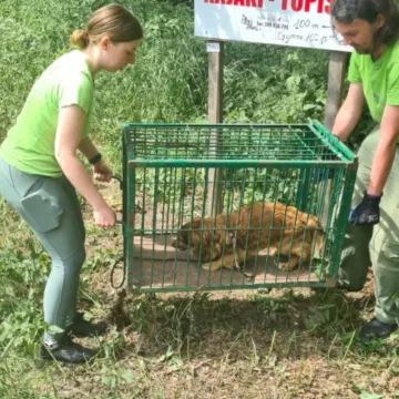 Ktoś przywiązał psiaka do słupka i odjechał. Policja poszukuje sprawcy