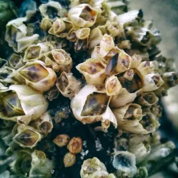 Foto Pozytyw nad morzem