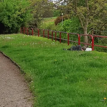 Bezdomne i pijane osoby opanowały miasto. Czy na tym polega otwartość Radomska?