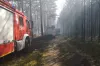 Wciąż płoną lasy i łąki w powiecie 