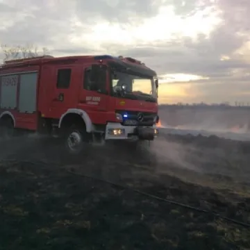 Duży pożar suchych traw w Pławnie