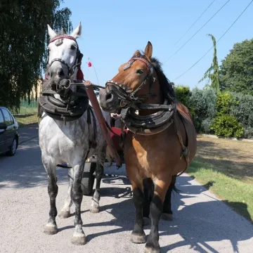 W Dziepółci dziękowali za tegoroczne plony
