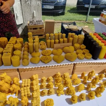 Słodka zabawa z miodem w Gomunicach