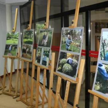 Różewicz w bibliotece