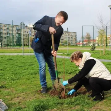 Samorządowcy z Platformy Dialogu sadzili drzewa