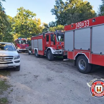 Dziecięce sandałki nad brzegiem Pilicy. Służby rozpoczęły poszukiwania