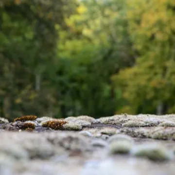 Foto Pozytyw edukuje w Niechcicach