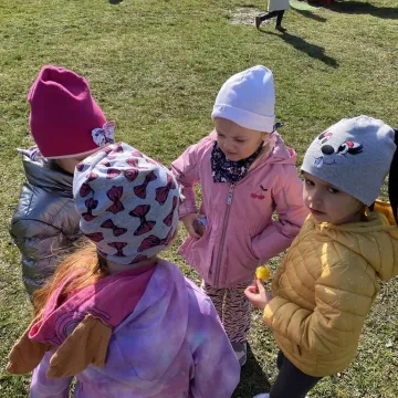 Zajączek ukrył się w PP nr 5 w Radomsku. Dzieci ruszyły na poszukiwania