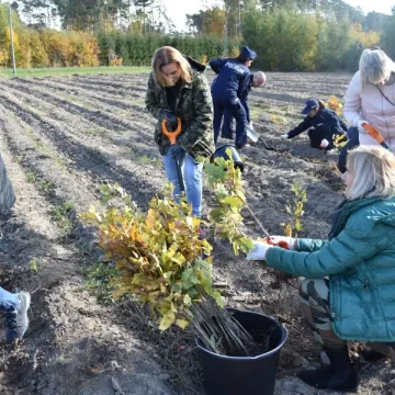 Wspólnie sadzili las