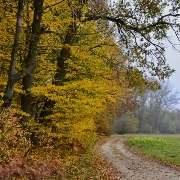 Pałac i natura w obiektywie